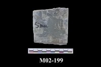 藏品(蠟光閃玉)的圖片